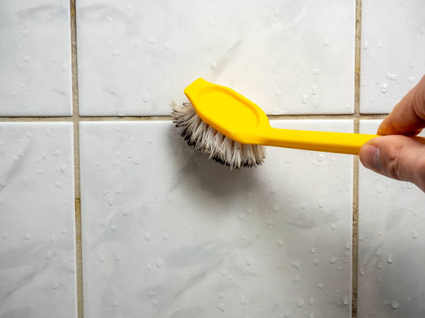 Best Commercial Mold Removal  in Picnic Point, WA